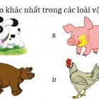 Tìm chậu cây khác biệt?