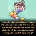 Tìm con vật thứ 2 xuất hiện trong hình?