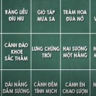 Tìm từ khóa, đây là hình ảnh chỉ về mang tính biểu tượng của ngày Tết cổ truyền của người Việt Nam?