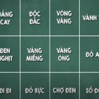 Tìm những cụm từ miêu tả chỉ về mùa xuân?