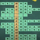 Tìm những cụm từ miêu tả chỉ về mùa xuân?