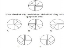 Hình nào dưới đây có thể được hình thành bằng cách quay hình trên?,đố vui IQ,đố vui iq có đáp án,đố vui hình ảnh