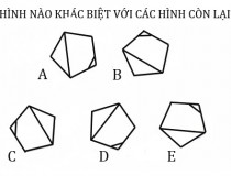 Hình nào khác biệt với các hình còn lại?,đố vui IQ,đố vui iq có đáp án,đố vui hình ảnh