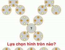 Lựa chọn hình nào A, B, C, D, E?,đố vui IQ,đố vui iq có đáp án,đố vui hình ảnh