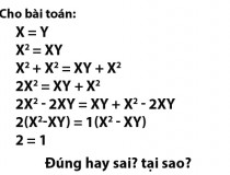 Cho bài toán X = Y, 2 = 1, Đúng hay sai, tại sao?,đố vui IQ,đố vui iq có đáp án,đố vui hình ảnh