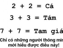 2 + 2 = Cá, 3 + 3 = Tám, 7 + 7 = Tam giác. Vì sao?,đố vui IQ,đố vui iq có đáp án,đố vui hình ảnh