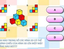 Hình nào trong số các hình 2D có thể là hình chiếu của hình 3D lên một mặt phẳng nào đó?,đố vui IQ,đố vui iq có đáp án,đố vui hình ảnh