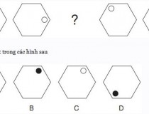 Hình nào ở vị trí dấu hỏi: A, B, C, D?,đố vui IQ,đố vui iq có đáp án,đố vui hình ảnh