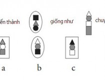 Hình chuyển thành sẽ giống như hình A, B, C, D?,đố vui IQ,đố vui iq có đáp án,đố vui hình ảnh