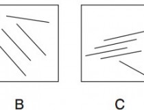 Hình nào khác tính chất với các hình còn lại: A, B, C, D?,đố vui IQ,đố vui iq có đáp án,đố vui hình ảnh