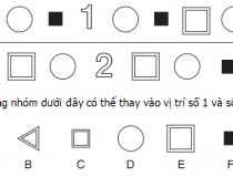 Tìm 2 hình đúng thay vào số 1 và số 2,đố vui IQ,đố vui iq có đáp án,đố vui hình ảnh