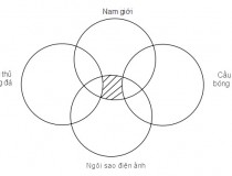 Phần hình gạch chéo mô tả gì?,đố vui IQ,đố vui iq có đáp án,đố vui hình ảnh