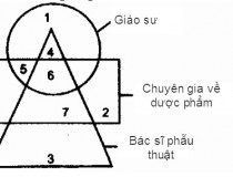 Có bao nhiêu giáo sư là chuyên gia về dược phẩm?,đố vui IQ,đố vui iq có đáp án,đố vui hình ảnh