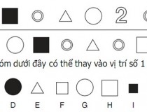 Tìm hai hình đúng ở vị trí số 1 và số 2,đố vui IQ,đố vui iq có đáp án,đố vui hình ảnh