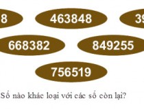 Số nào khác với số còn lại: 486528 - 463848 - 394764 - 668382 - 849255 - 756519?,đố vui IQ,đố vui iq có đáp án,đố vui hình ảnh