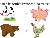 Con nào khác nhất trong số các loài vật sau: Chó, lợn, gấu, gà?,đố vui IQ,đố vui iq có đáp án,đố vui hình ảnh