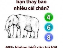 Bạn nhìn thấy bao nhiêu chân voi?,đố vui IQ,đố vui iq có đáp án,đố vui hình ảnh