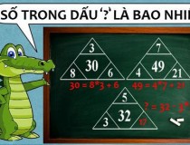 Tìm số còn thiếu trong dấu hỏi chấm: 30 = 8 x 3 + 6; 49 = 4 x 7 + 21; ? = 32 - 3 x 5,đố vui IQ,đố vui iq có đáp án,đố vui hình ảnh