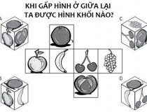 Khi gấp hình ở giữa lại ta được hình khối nào?,đố vui IQ,đố vui iq có đáp án,đố vui hình ảnh