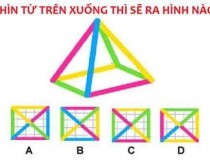 Nhìn từ trên xuống thì sẽ ra hình nào?,đố vui IQ,đố vui iq có đáp án,đố vui hình ảnh