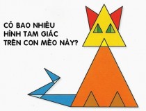 Có bao nhiêu hình tam giác trên con mèo?,đố vui IQ,đố vui iq có đáp án,đố vui hình ảnh