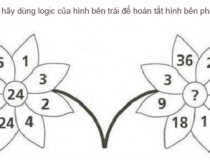 Dùng logic của hình bên trái để hoàn tất hình bên phải?,đố vui IQ,đố vui iq có đáp án,đố vui hình ảnh