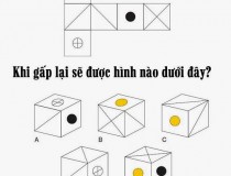 Gấp hình trên lại thì được hình nào bên dưới?,đố vui IQ,đố vui iq có đáp án,đố vui hình ảnh