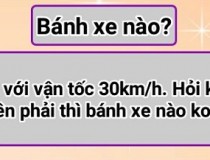 Xe chạy với vận tốc 30 km/h. Hỏi khi xe rẽ về bên phải thì bánh xe nào không lăn?,đố vui IQ,đố vui iq có đáp án,đố vui hình ảnh