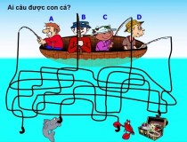 Ai câu được con cá?,đố vui IQ,đố vui iq có đáp án,đố vui hình ảnh