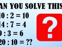 Tìm quy luật và điền số còn thiếu vào dấu ? Nếu 10 : 2 = 10, 14 : 7 = 4, 9 : 3 = 6, Thì 20 : 10 = ?,đố vui IQ,đố vui iq có đáp án,đố vui hình ảnh