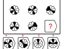 Tìm quy luật và chọn hình còn thiếu ở dấu ?,đố vui IQ,đố vui iq có đáp án,đố vui hình ảnh