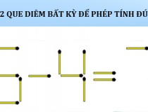 Bỏ 2 que diêm bất kỳ để được phép tính đúng,đố vui IQ,đố vui iq có đáp án,đố vui hình ảnh