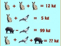 Tìm ra giá trị mỗi con vật và cho biết: thỏ + chim bồ câu + lợn = ?,đố vui IQ,đố vui iq có đáp án,đố vui hình ảnh