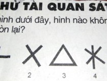 Thử tài quan sát: Trong các hình dưới đây, hình nào không cùng nhóm với các hình còn lại?,đố vui IQ,đố vui iq có đáp án,đố vui hình ảnh