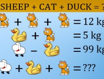 Tìm ra giá trị của mỗi con vật và cho biết: Cừu + Vịt + Mèo = ?,đố vui IQ,đố vui iq có đáp án,đố vui hình ảnh