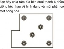 Bạn hãy chia tấm bìa thành 6 phần giống hệt nhau về hình dạng và mỗi phần có 1 bông hoa,đố vui IQ,đố vui iq có đáp án,đố vui hình ảnh