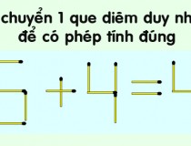 Di chuyển một que diêm duy nhất để có phép tính đúng,đố vui IQ,đố vui iq có đáp án,đố vui hình ảnh