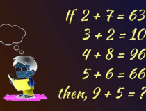 Tìm quy luật để tìm tổng cho phép tính: Nếu 2 + 7 = 63, 3 + 2 = 10, 4 + 8 = 96, 5 + 6 = 66, Thì 9 + 5 = ?,đố vui IQ,đố vui iq có đáp án,đố vui hình ảnh