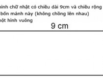 Cắt mảnh bìa hình chữ nhật có chiều dài 9cm và chiều rộng 4cm thành bốn mảnh và ghép bốn mảnh này (không chồng lên nhau) để tạo thành một hình vuông,đố vui IQ,đố vui iq có đáp án,đố vui hình ảnh