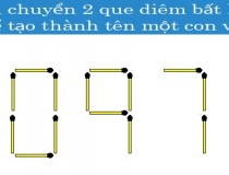 Di chuyển 2 que diêm bất kỳ để tạo thành tên một con vật,đố vui IQ,đố vui iq có đáp án,đố vui hình ảnh