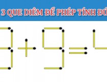 Bỏ 3 que diêm để phép tính 8 + 9 = 4 có kết quả đúng,đố vui IQ,đố vui iq có đáp án,đố vui hình ảnh