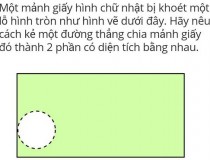 Một mảnh giấy hình chữ nhật bị khoét một lỗ hình tròn. Hãy nêu cách kẻ một đường thẳng chia mảnh giấy đó thành 2 phần có diện tích bằng nhau?,đố vui IQ,đố vui iq có đáp án,đố vui hình ảnh