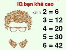 Nếu 2 = 6, 3 = 12, 4 = 20, 5 = 30, 6 = 42, Thì 9 = ?,đố vui IQ,đố vui iq có đáp án,đố vui hình ảnh