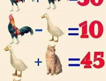 Gà + Gà = 30, Gà - Vịt = 10, Vịt + Mèo = 45, Mèo = ?,đố vui IQ,đố vui iq có đáp án,đố vui hình ảnh