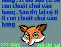 Có 1 con chuột trong hang. Ít lâu sau có ba con chuột chui vào hang. Sau đó lại có tỉ tỉ con chuột chui vào hang. Hỏi có mấy con chuột?,đố vui IQ,đố vui iq có đáp án,đố vui hình ảnh