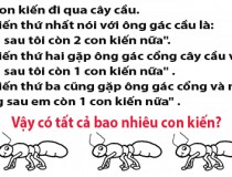 Có tất cả bao nhiêu con kiến?,đố vui IQ,đố vui iq có đáp án,đố vui hình ảnh