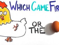 Which came first, the chicken or the egg,đố vui IQ,đố vui iq có đáp án,đố vui hình ảnh