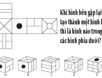 Gấp tấm bìa lại để tạo thành một hình hộp thì được hình nào?,đố vui IQ,đố vui iq có đáp án,đố vui hình ảnh