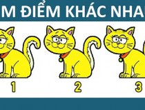 Tìm điểm khác nhau giữa 3 con mèo?,đố vui IQ,đố vui iq có đáp án,đố vui hình ảnh