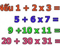 Nếu 1 + 2 x 3 = 5 ...... Thì 20 + 30 x 31 = ?,đố vui IQ,đố vui iq có đáp án,đố vui hình ảnh